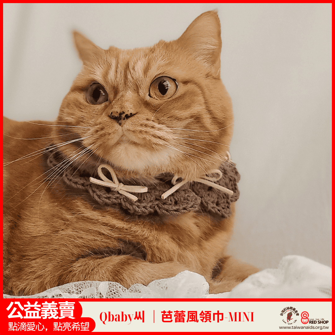 Qbaby씨｜芭蕾風領巾-MINI(標題圖檔)