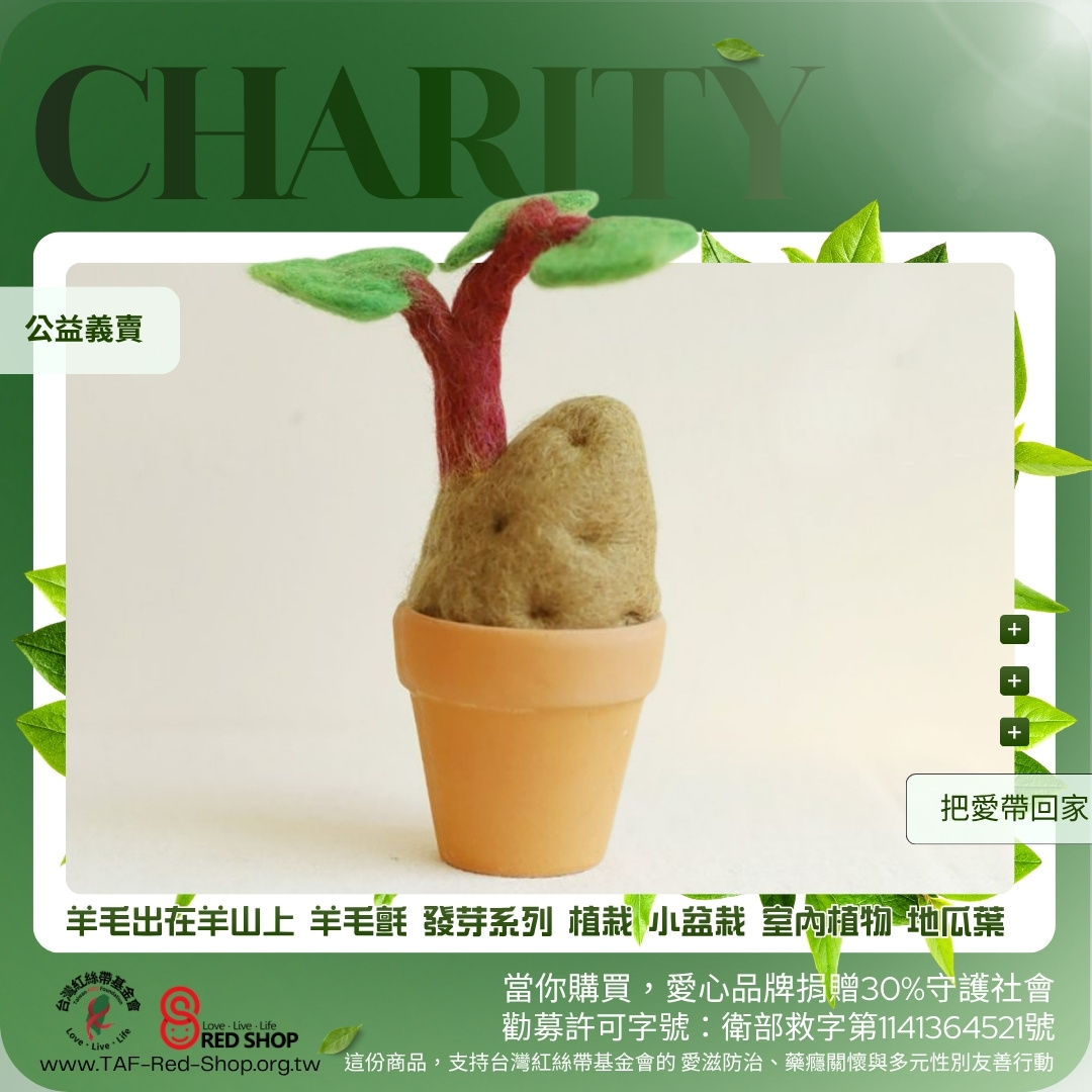 羊毛出在羊山上 羊毛氈 發芽系列 植栽 小盆栽 室內植物 地瓜葉(標題圖檔)