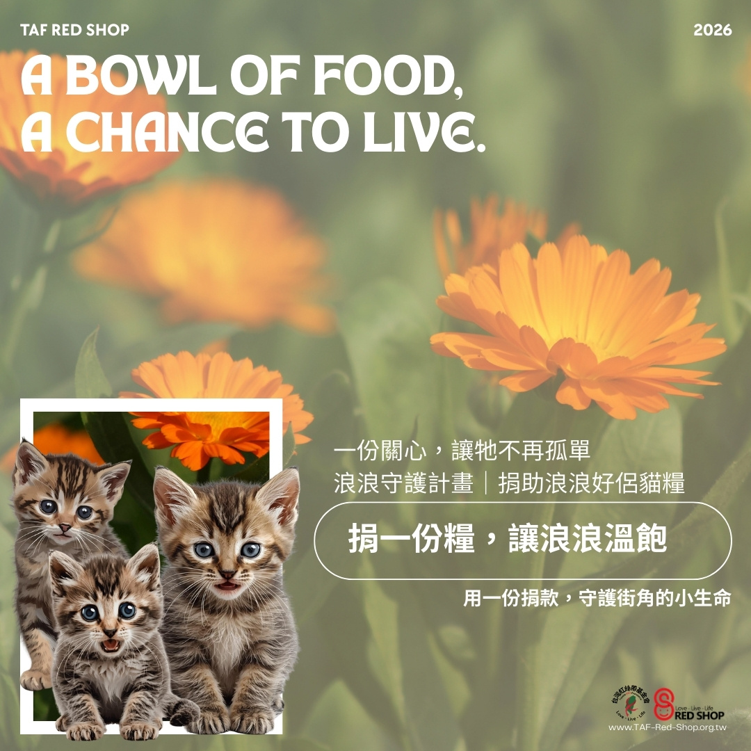 🐈 浪浪守護計畫｜捐助浪浪好侶貓糧(標題圖檔)