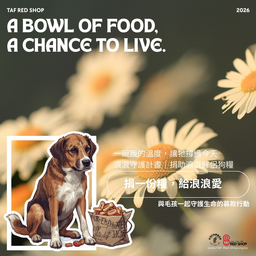 🐕 浪浪守護計畫｜捐助浪浪好侶狗糧(標題圖檔)