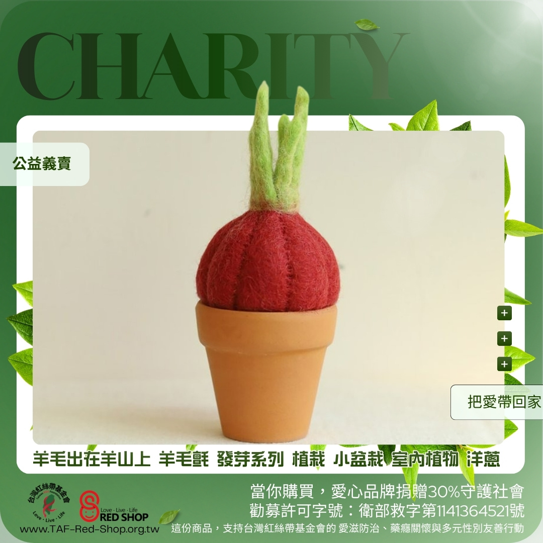 羊毛出在羊山上 羊毛氈 發芽系列 植栽 小盆栽 室內植物 洋蔥(標題圖檔)