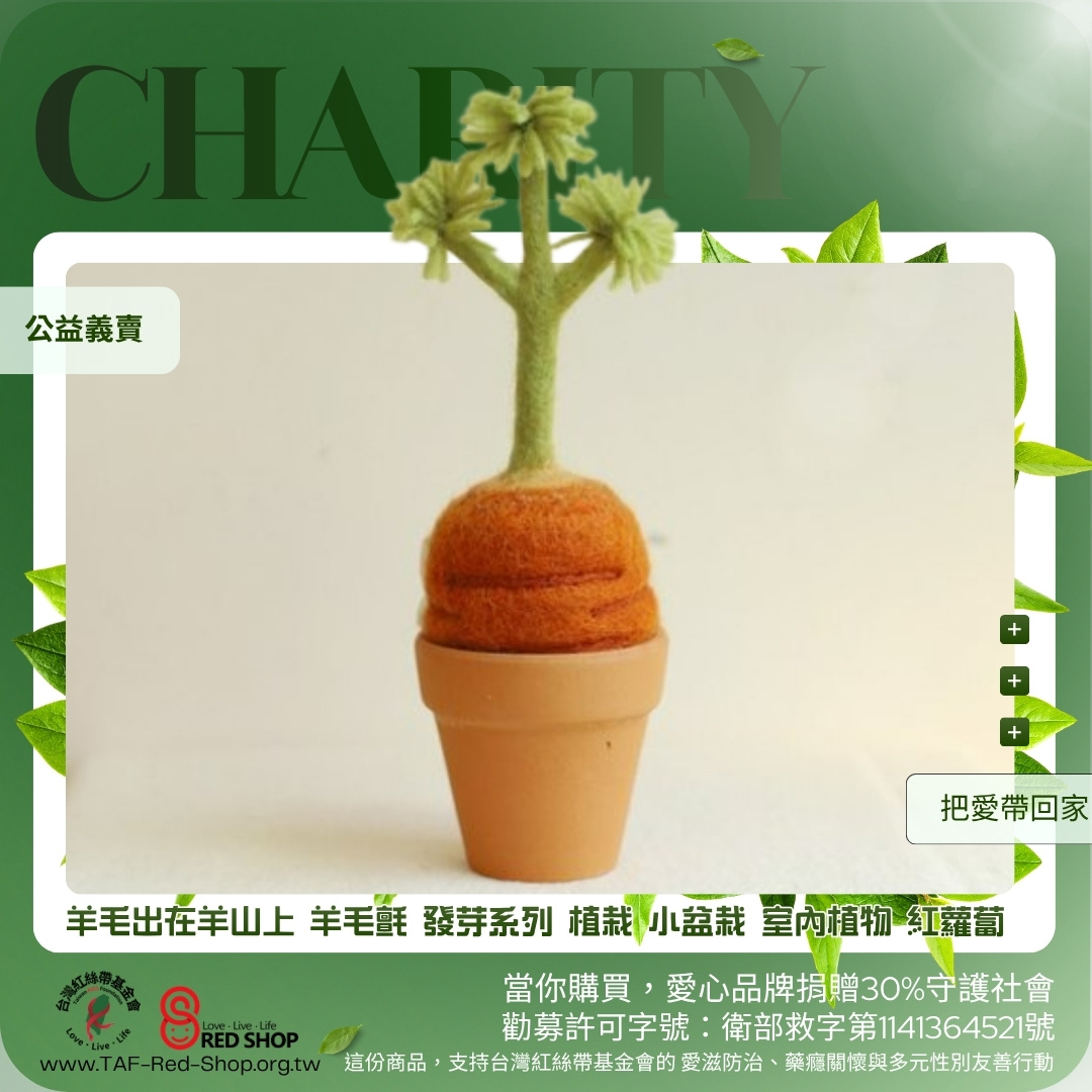 羊毛出在羊山上 羊毛氈 發芽系列 植栽 小盆栽 室內植物 紅蘿蔔(標題圖檔)