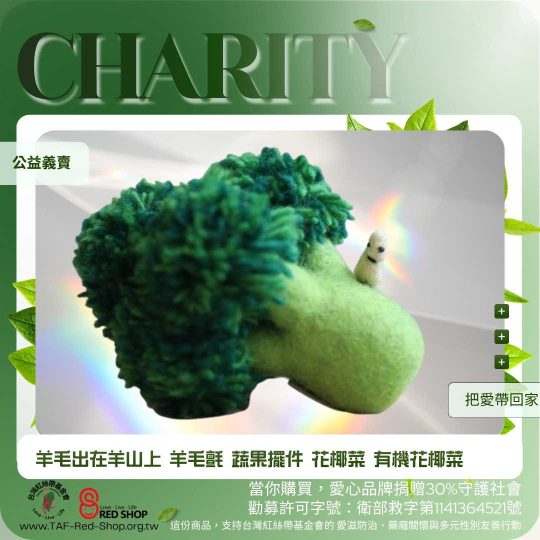 羊毛出在羊山上 羊毛氈 蔬果擺件 花椰菜 有機花椰菜(標題圖檔)