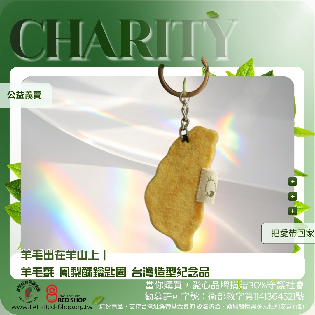 羊毛出在羊山上｜羊毛氈 鳳梨酥鑰匙圈 台灣造型紀念品(標題圖檔)