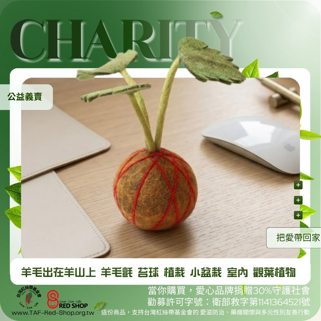 羊毛出在羊山上 羊毛氈 苔球 植栽 小盆栽 室內 觀葉植物(標題圖檔)