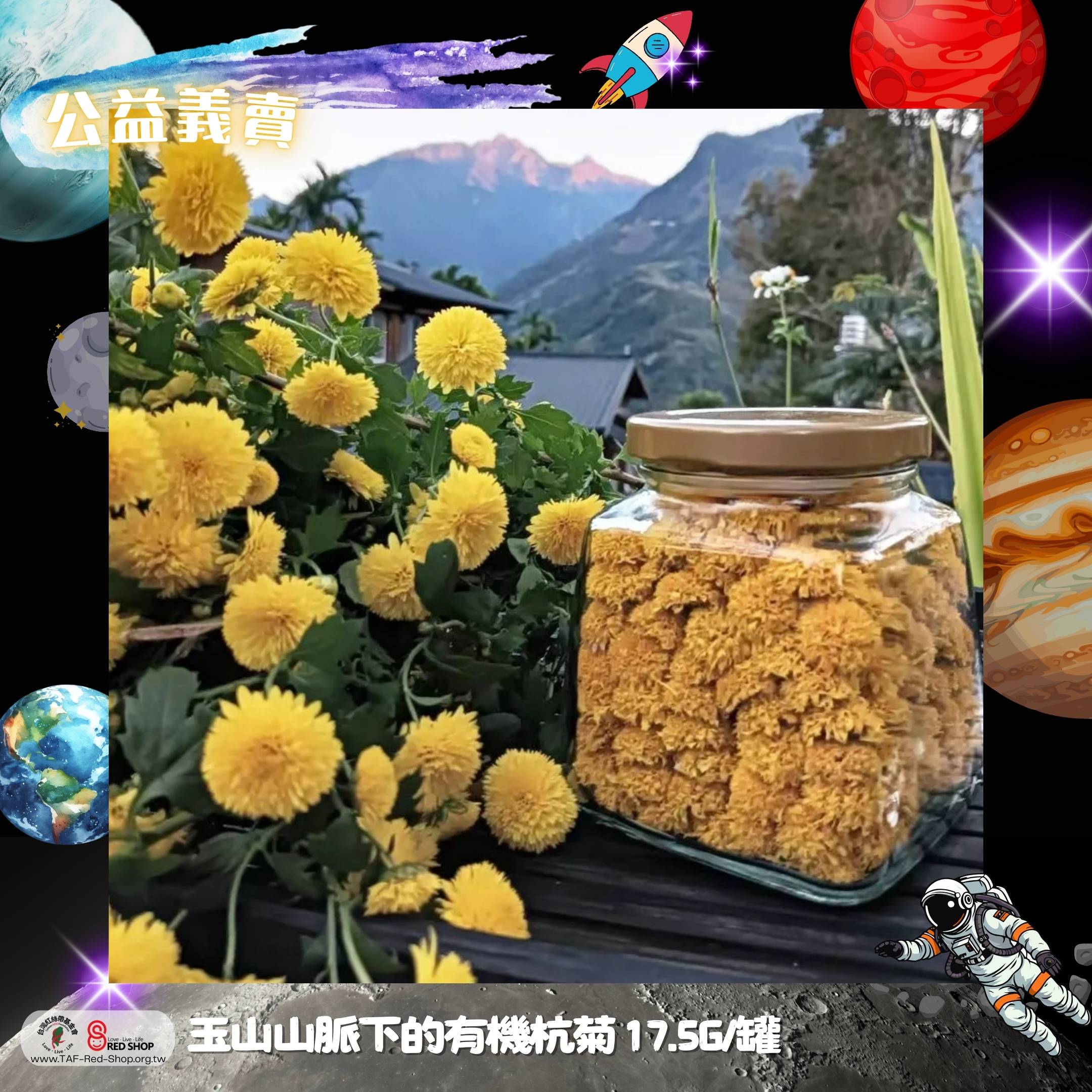 玉山山脈下的有機杭菊 17.5G/罐(標題圖檔)