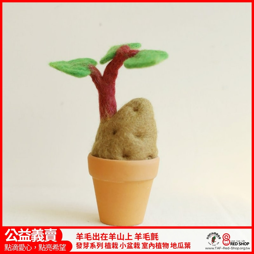 羊毛出在羊山上 羊毛氈 發芽系列 植栽 小盆栽 室內植物 地瓜葉(標題圖檔)