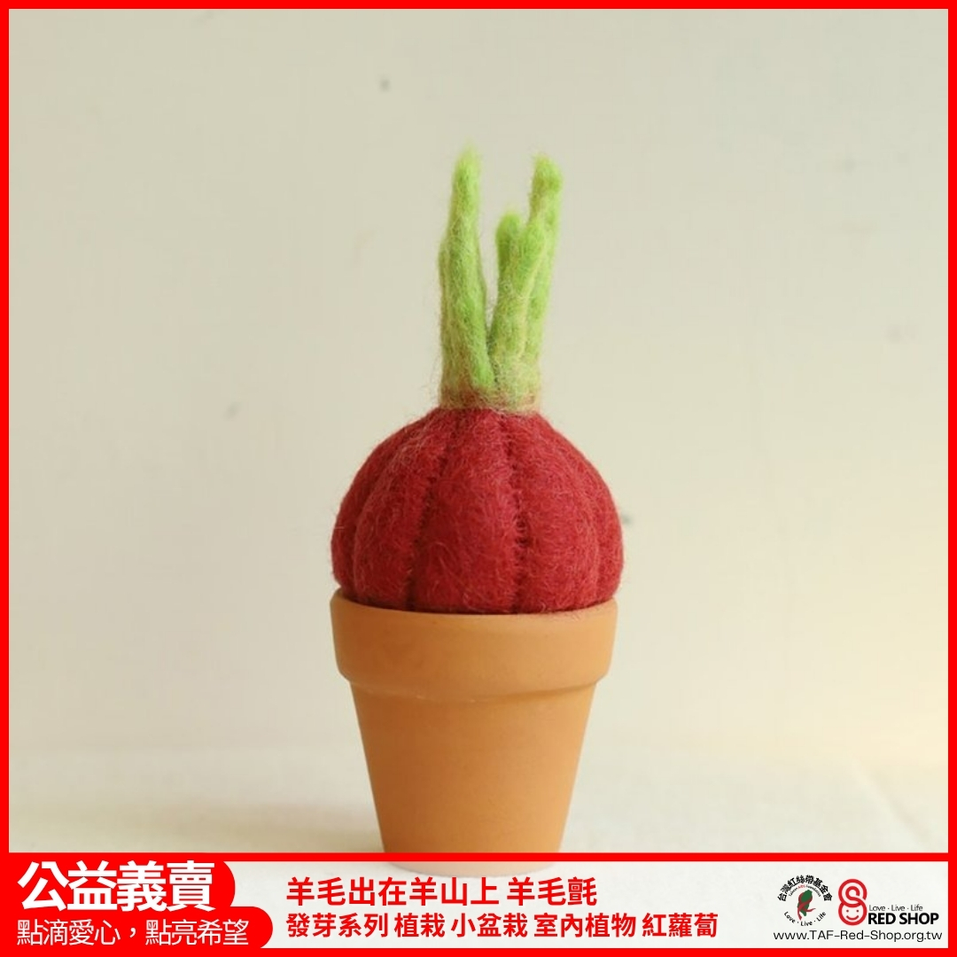 羊毛出在羊山上 羊毛氈 發芽系列 植栽 小盆栽 室內植物 洋蔥(標題圖檔)