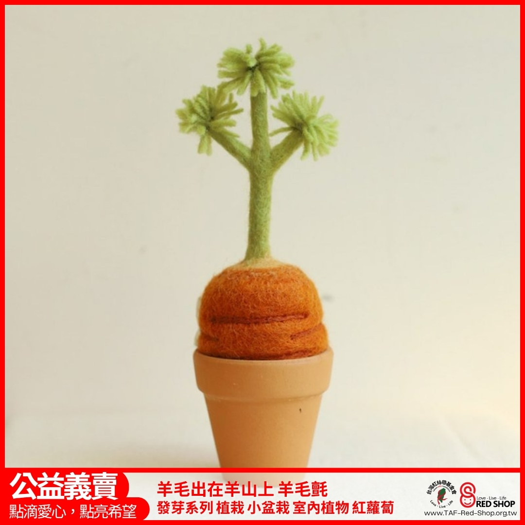 羊毛出在羊山上 羊毛氈 發芽系列 植栽 小盆栽 室內植物 紅蘿蔔(標題圖檔)