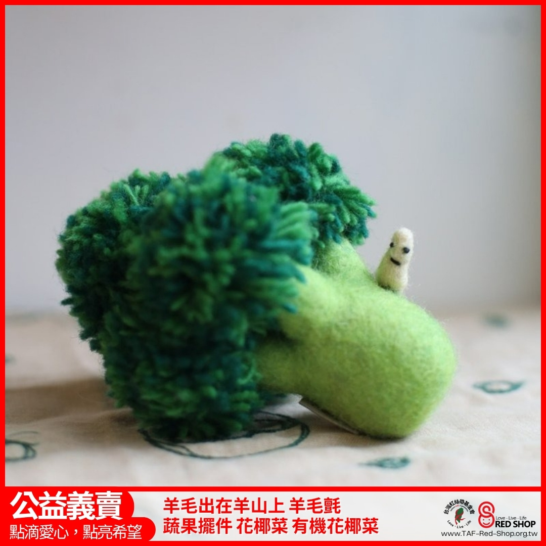 羊毛出在羊山上 羊毛氈 蔬果擺件 花椰菜 有機花椰菜(標題圖檔)