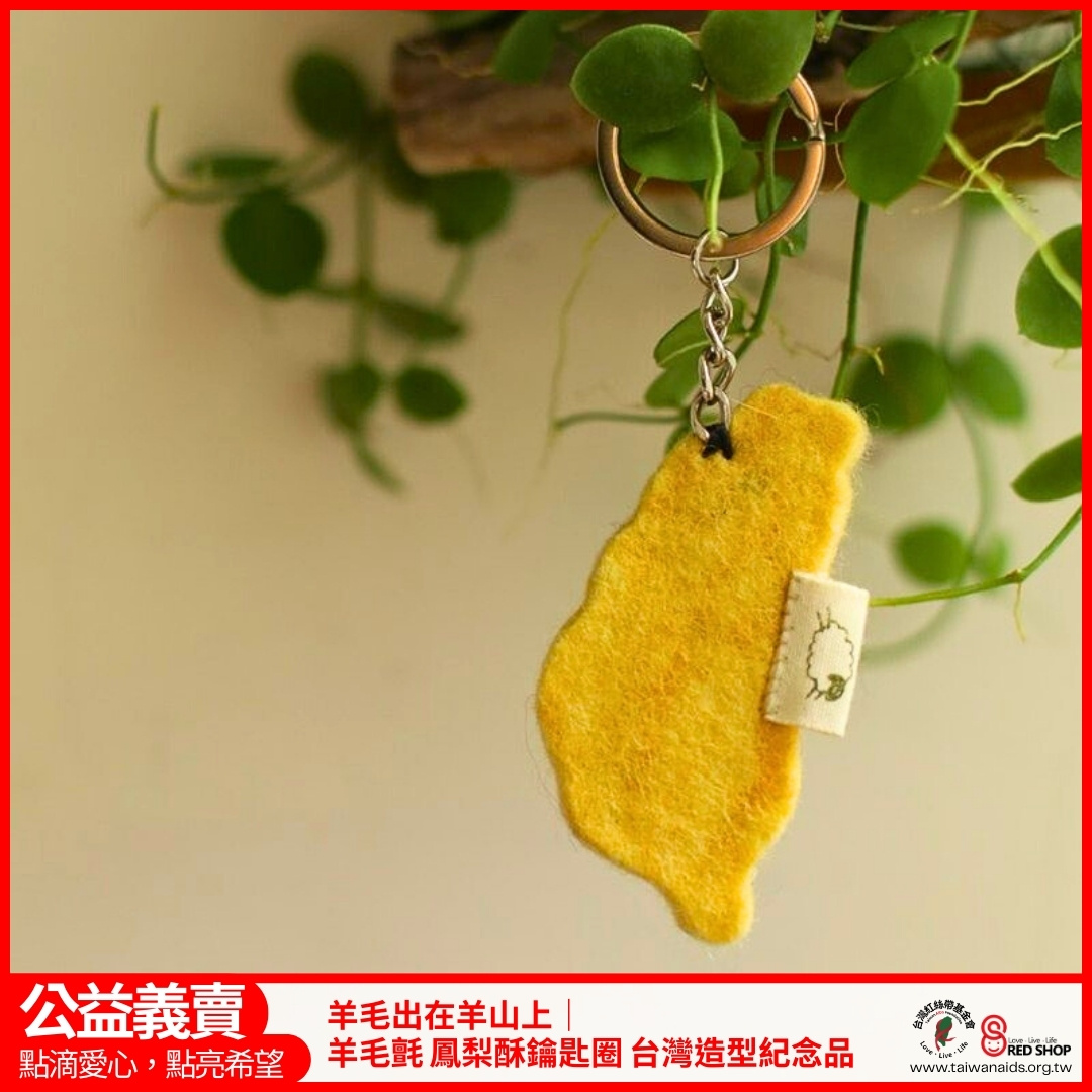 羊毛出在羊山上｜羊毛氈 鳳梨酥鑰匙圈 台灣造型紀念品(標題圖檔)